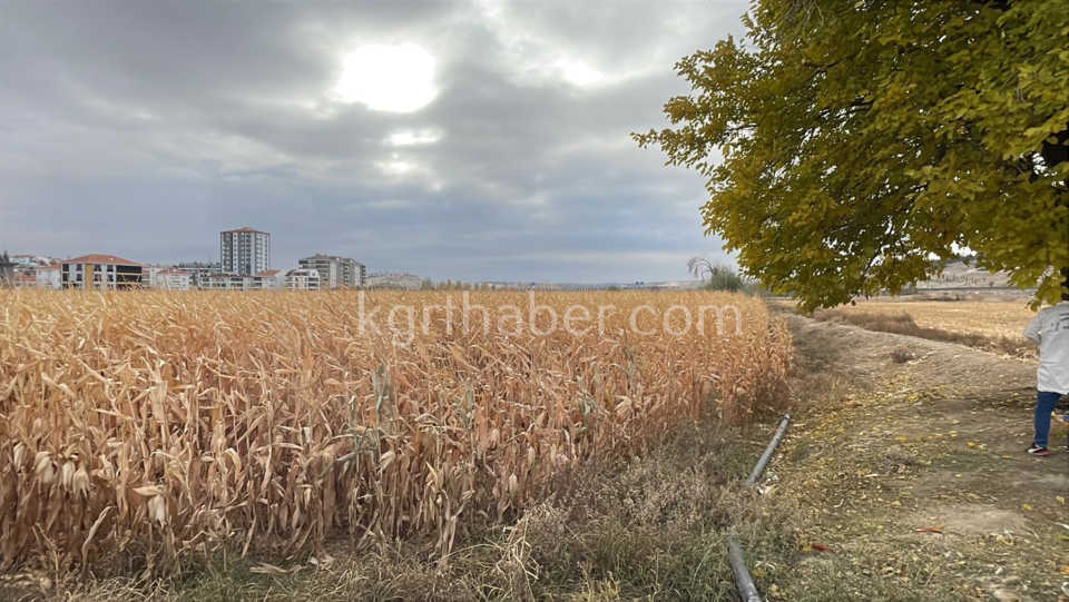 Karaman’da 27 Yaşındaki Genç Tarlada Ölü Bulundu (6)