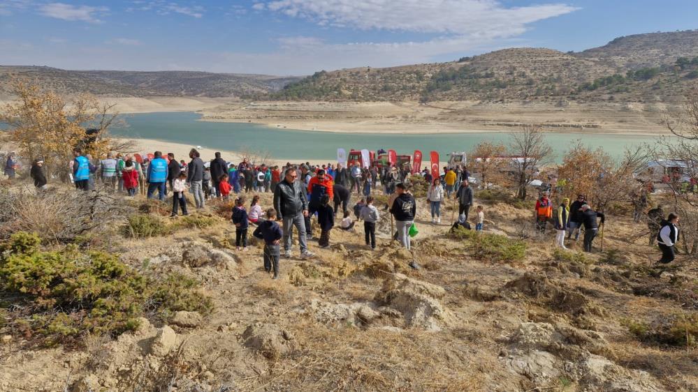 Karamanda 5 Bin Fidan Toprakla Bulusturuldu (1)