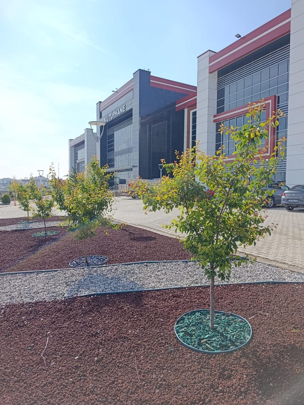 Karamanda Eli Opulecek Adami Buldum O Bir Temizlik Oncusu (15)