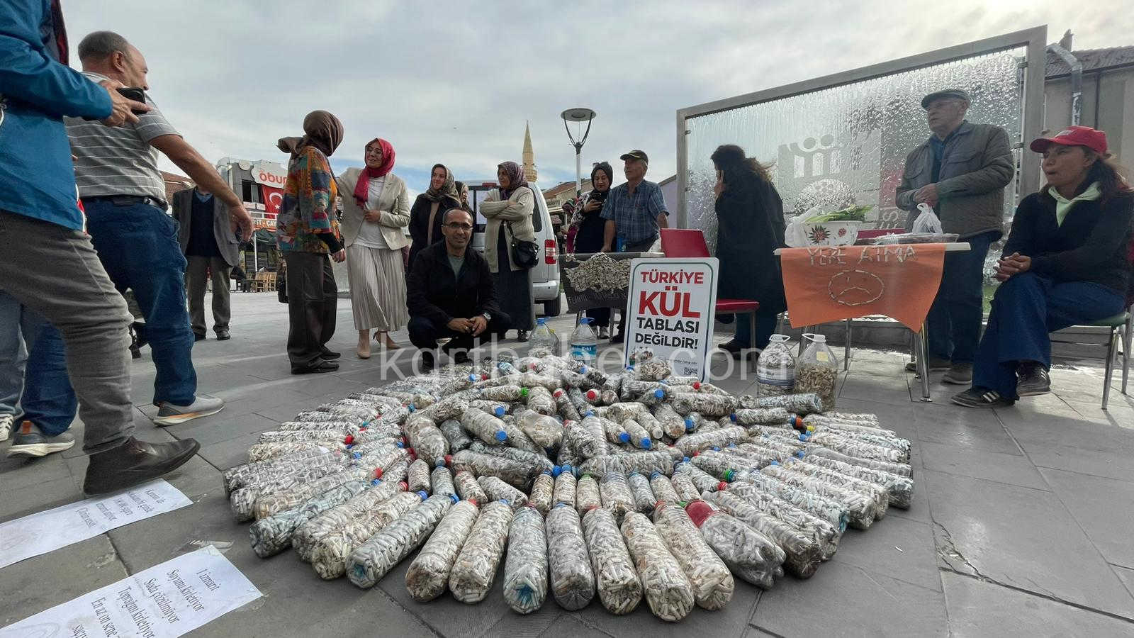 Kmulu Akademisyen Ve Gonulluler 2 Ayda 100 Bin Sigara Izmariti Topladi5