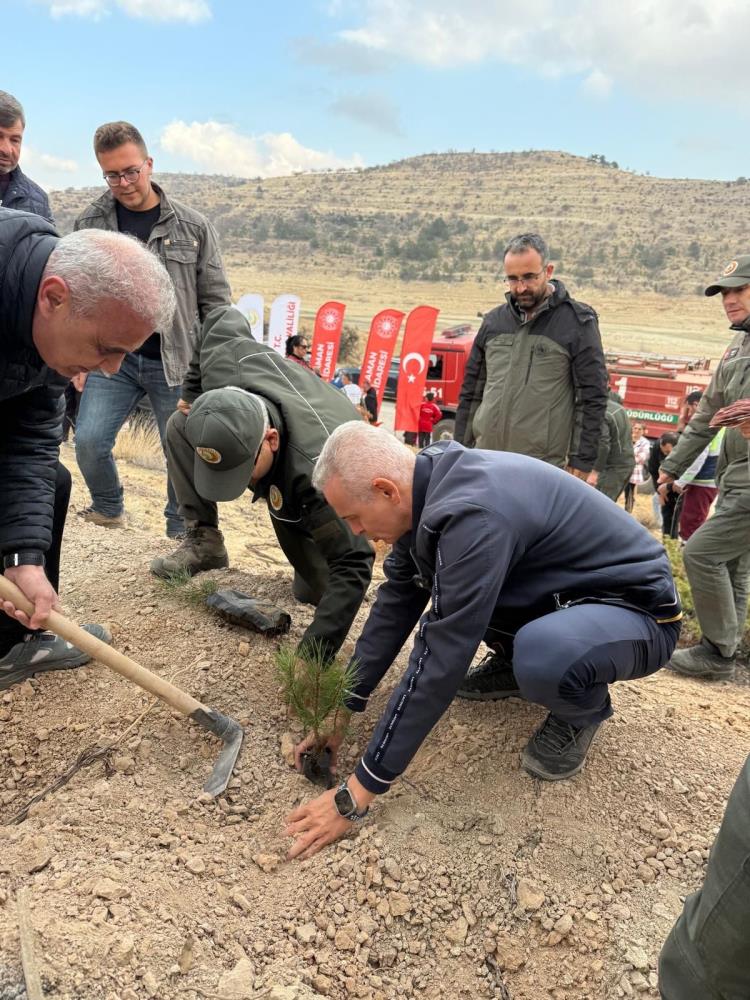 Sehit Dusen 20 Asker Icin Karamanda Fidan Dikildi2
