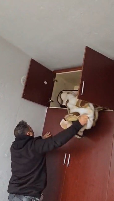 49 Suctan Aranan Sahis Bakin Nerde Yakalandi (1)