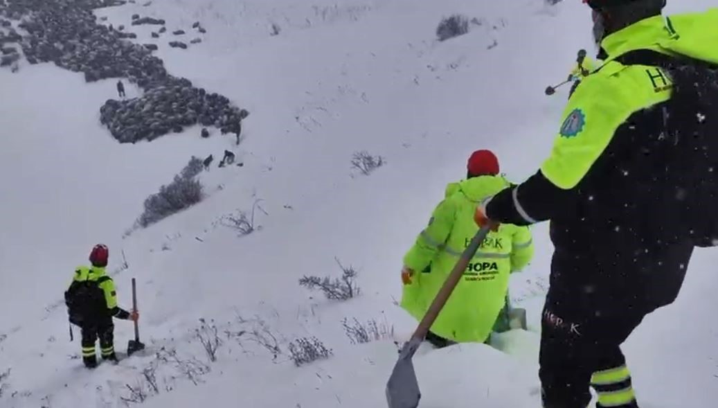 Artvinde Cig Faciasi 3 Coban Mahsur Kaldi 1 Olu (2)