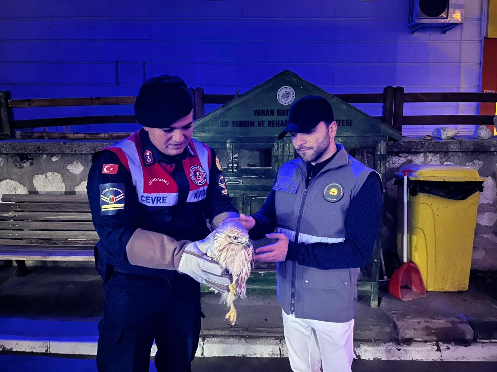 Karamanda Kizil Sahin Koruma Altina Alindi (1)