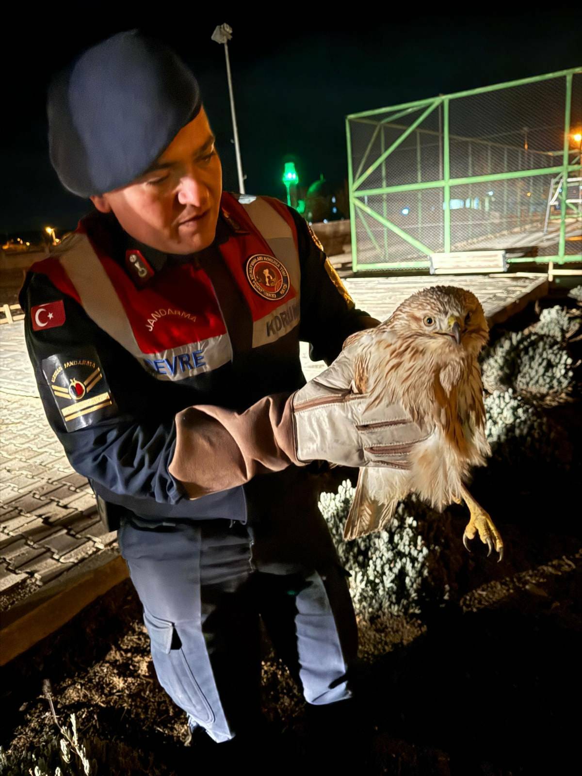 Karamanda Kizil Sahin Koruma Altina Alindi (3)