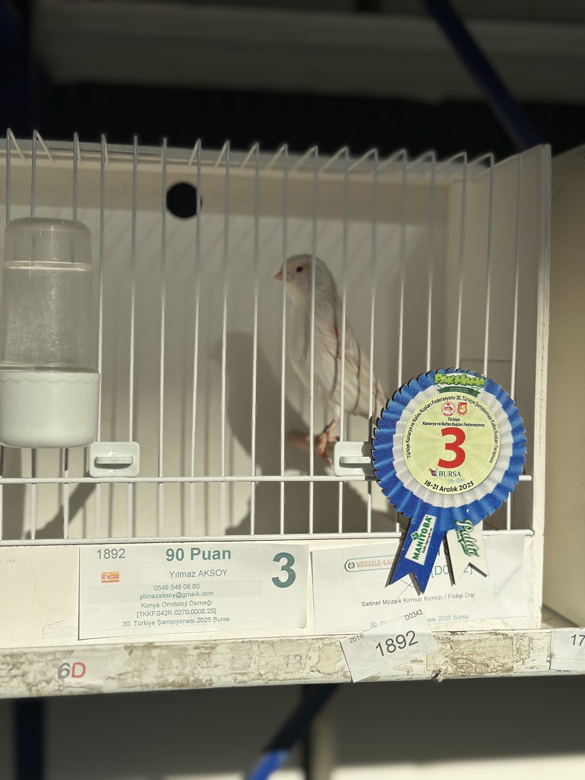 Karamanli Yilmaz Aksoydan Kanarya Sampiyonasinda 5 Derece (3)