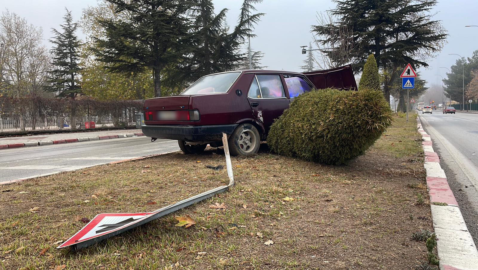 Kayganlasan Yolda Kaza (1)