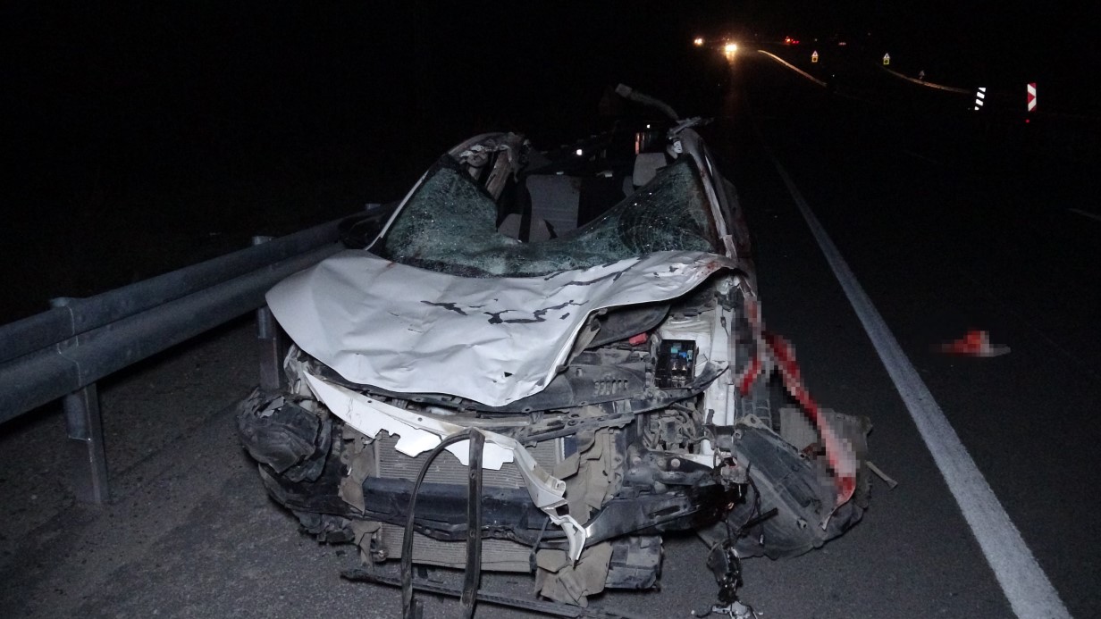 Malatyada Milyonluk Taylar Karayolunda Telef Oldu (1)