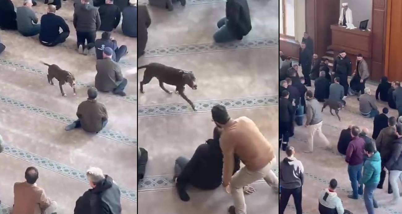 camiye-giren-pitbull-korku-dolu-anlar-yasatti1