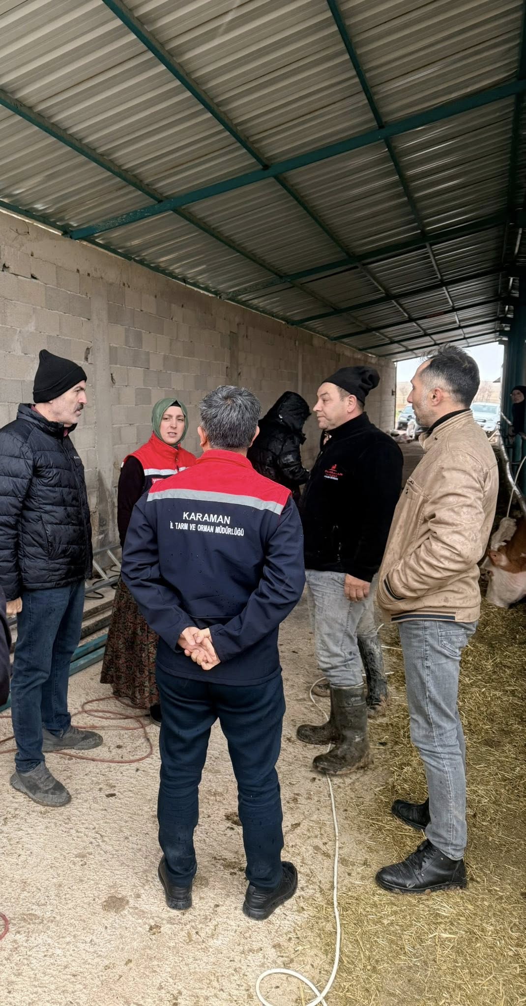 Karamanda Firtina Sonrasi Aci Tablo Hayvanlar Ve Ureticiler Buyuk Zarar Gordu (1)