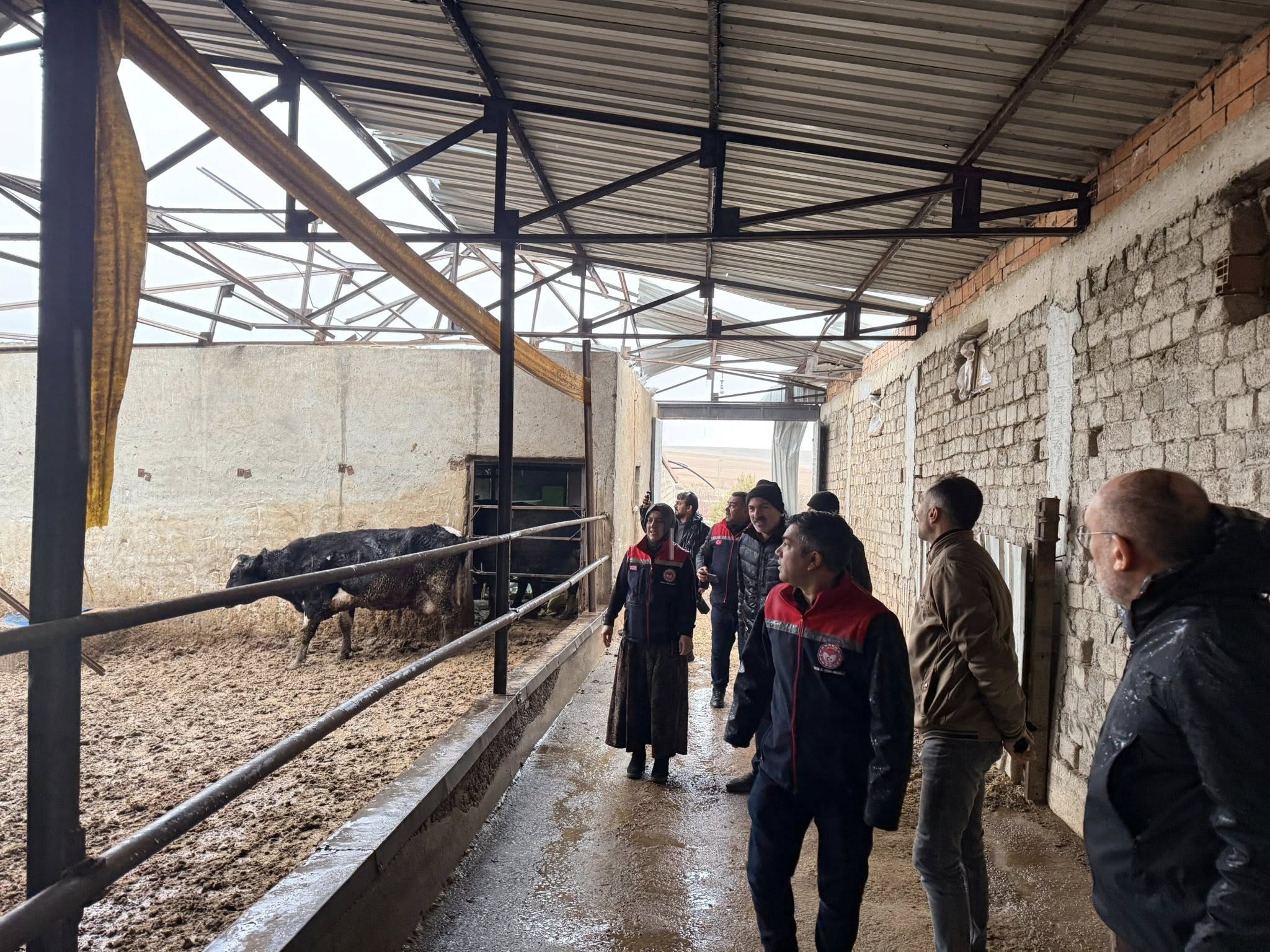 Karamanda Firtina Sonrasi Aci Tablo Hayvanlar Ve Ureticiler Buyuk Zarar Gordu (3)