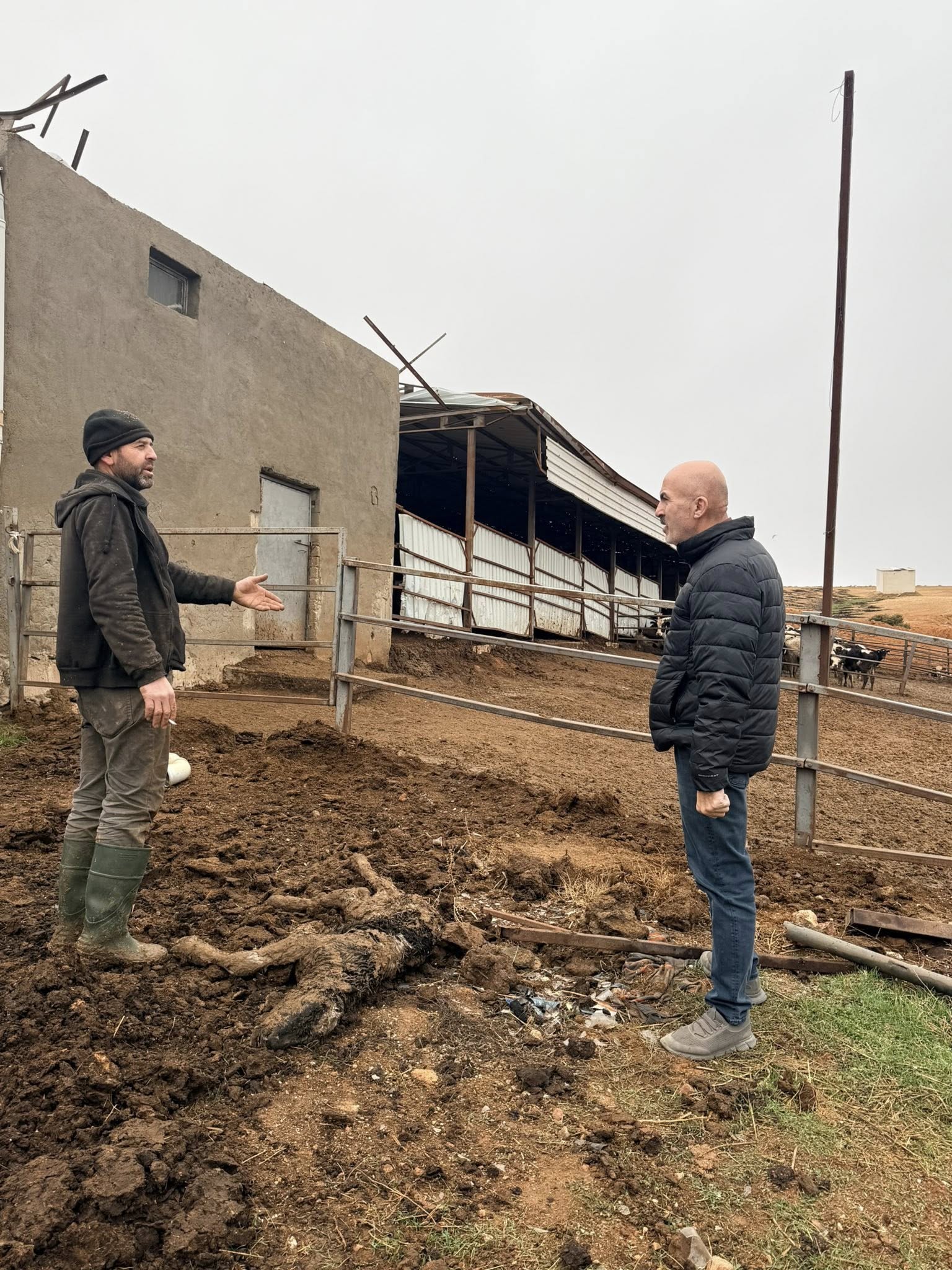 Karamanda Firtina Sonrasi Aci Tablo Hayvanlar Ve Ureticiler Buyuk Zarar Gordu (6)