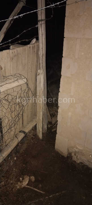 Karamanda Koyun Hirsizlari Operasyonla Sucustu Yakalandi0