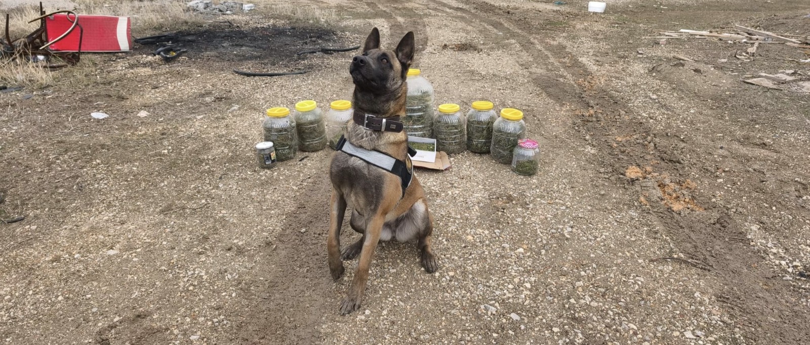 Karamanda Uyusturucu Operasyonu 1 Kisi Gozaltina Alindi (3)