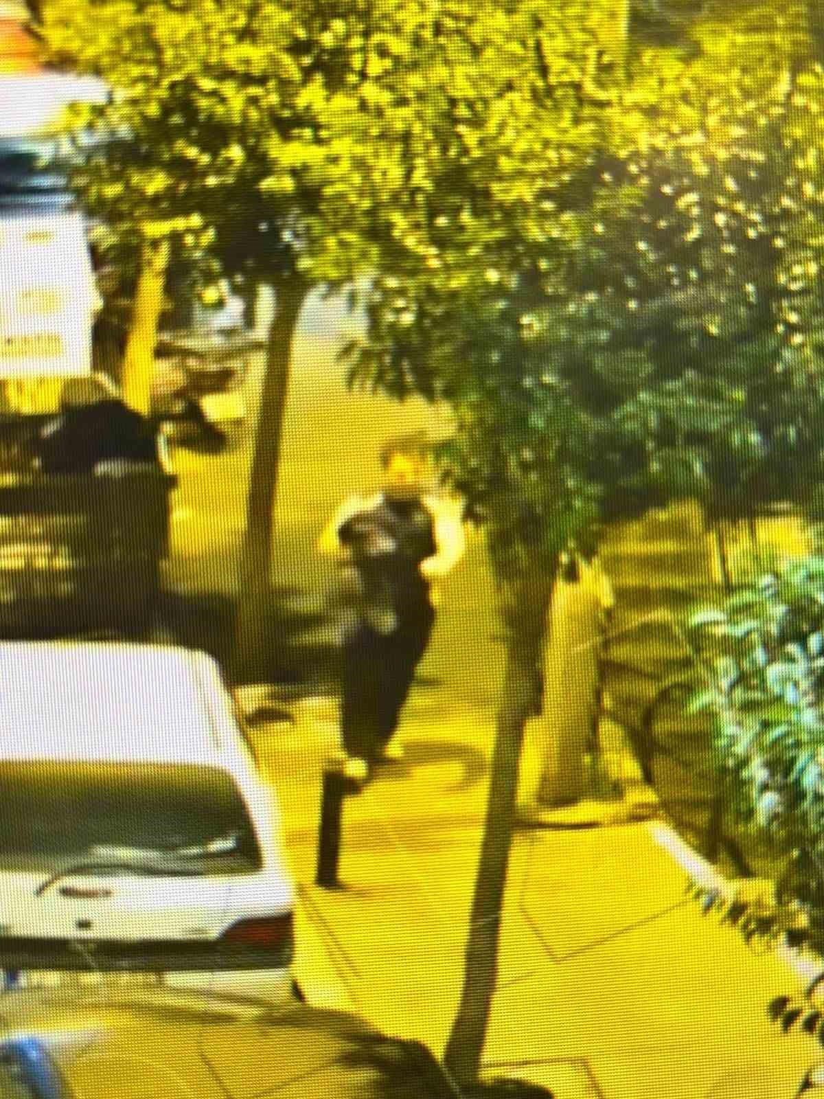 Kayip Ogrenci Deniz Ibislerde Korkutan Goruntuler (2)