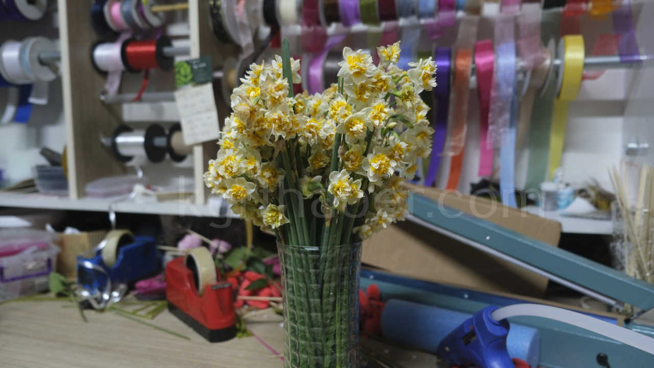 Kis Aylarinin Vazgecilmezi Nergis Cicegi Yok Satiyor3