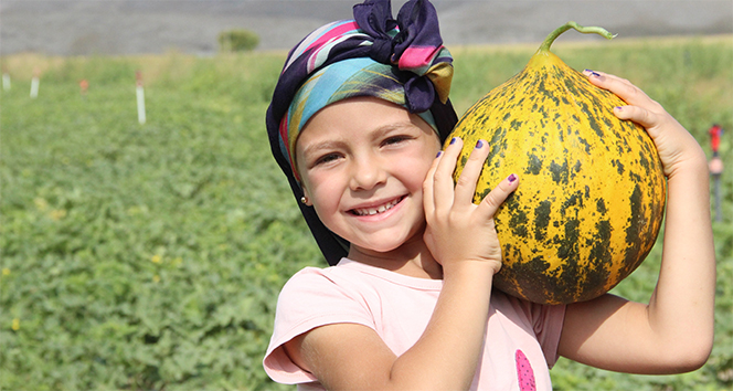 karamanda-dogal-urunler-satan-organik-marketler-nerede-bulunur1