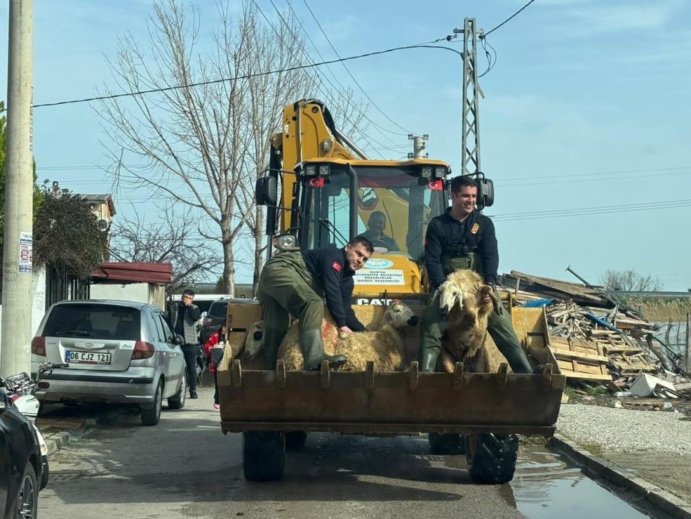 44 Kisi Ve 127 Hayvan Kurtarildi2