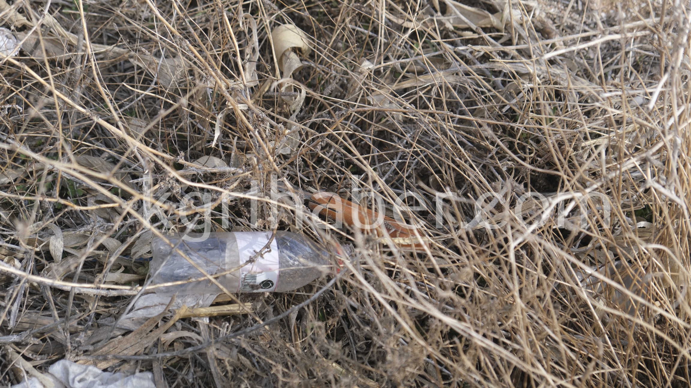 Gelincik Otu Toplarken Yola Cikan Yasli Kadina Otomobil Carpti 1 Olu (10)