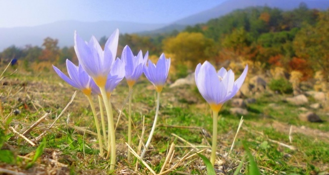 Ilk Orucla Ilk Cemre Ayni Gun (5)