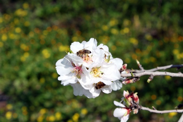 Ilk Orucla Ilk Cemre Ayni Gun (6)