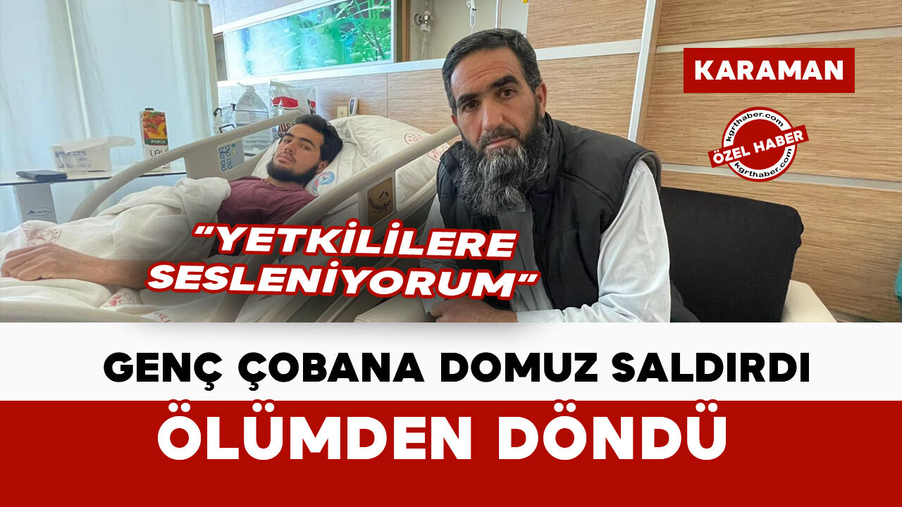 Karaman’da domuz saldırısına uğrayan genç çoban ölümden döndü