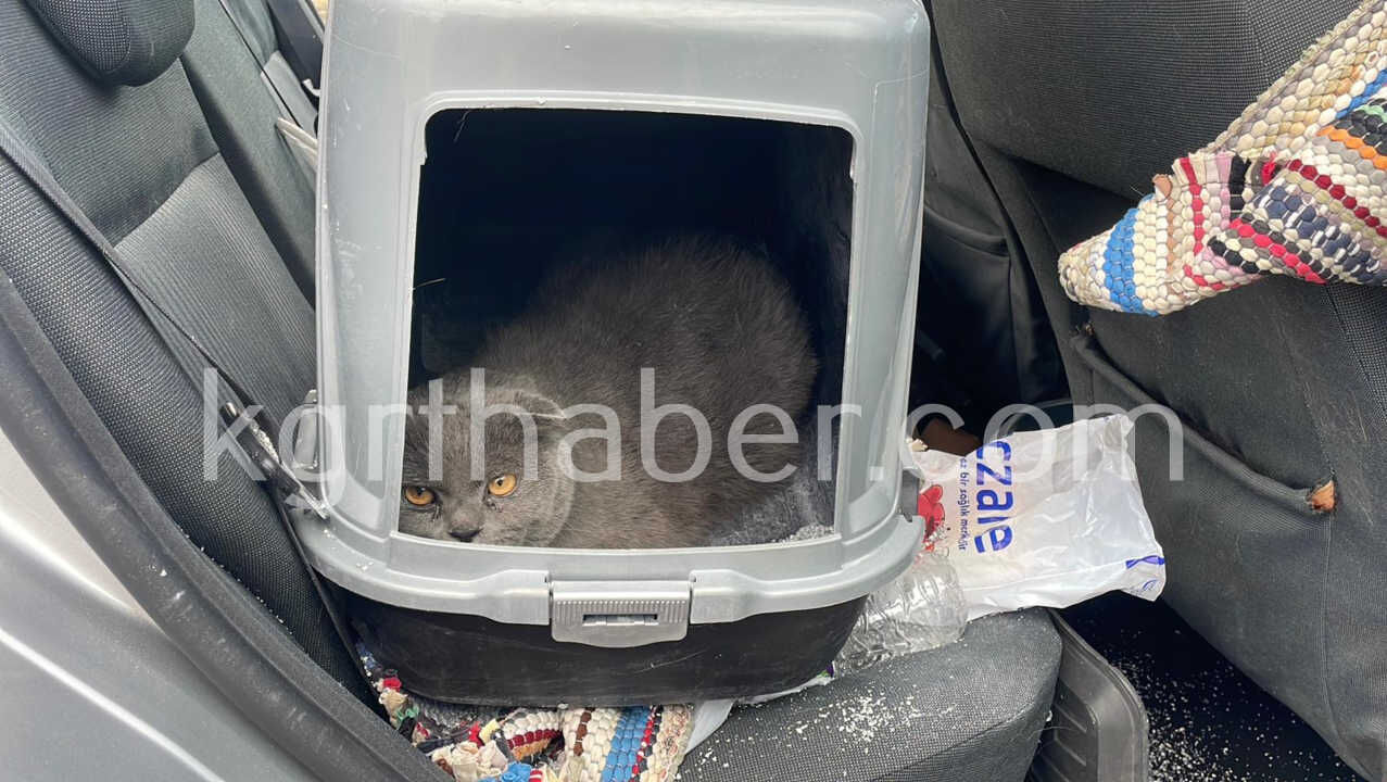 Karaman'da Takla Atan Aracın Sürücüsü Ölümden Döndü 1 Yaralı7