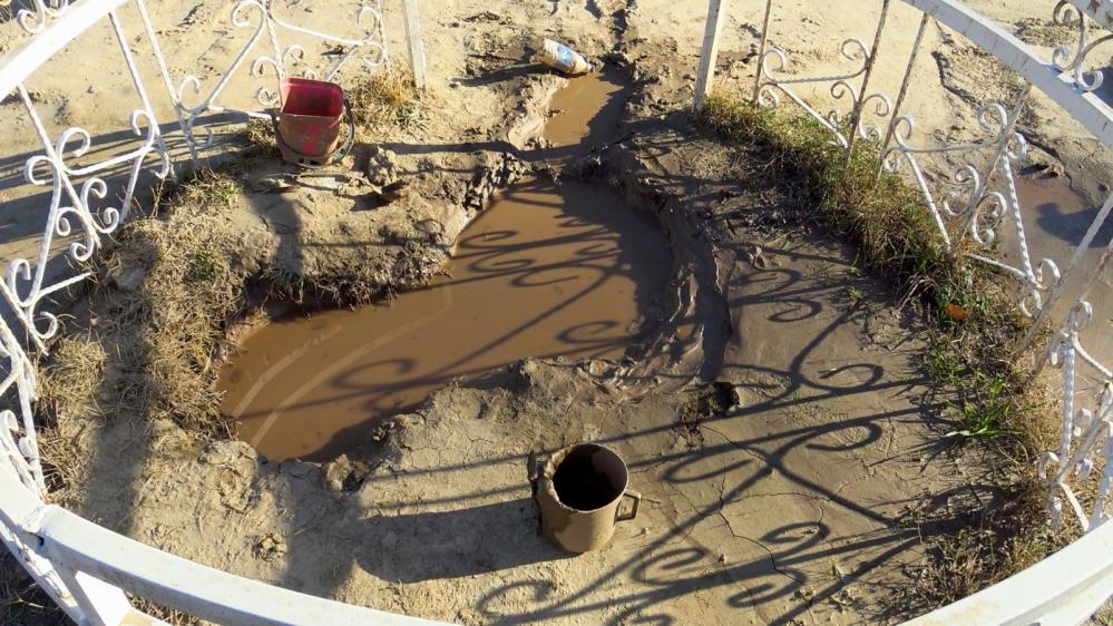 Karamandaki Sifali Camura Ilgi Yogun1