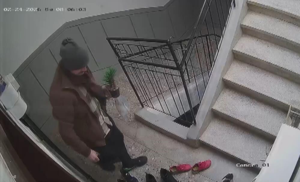 Markasini Begenmeyince Ayakkabiyi Calmaktan Vazgecti2