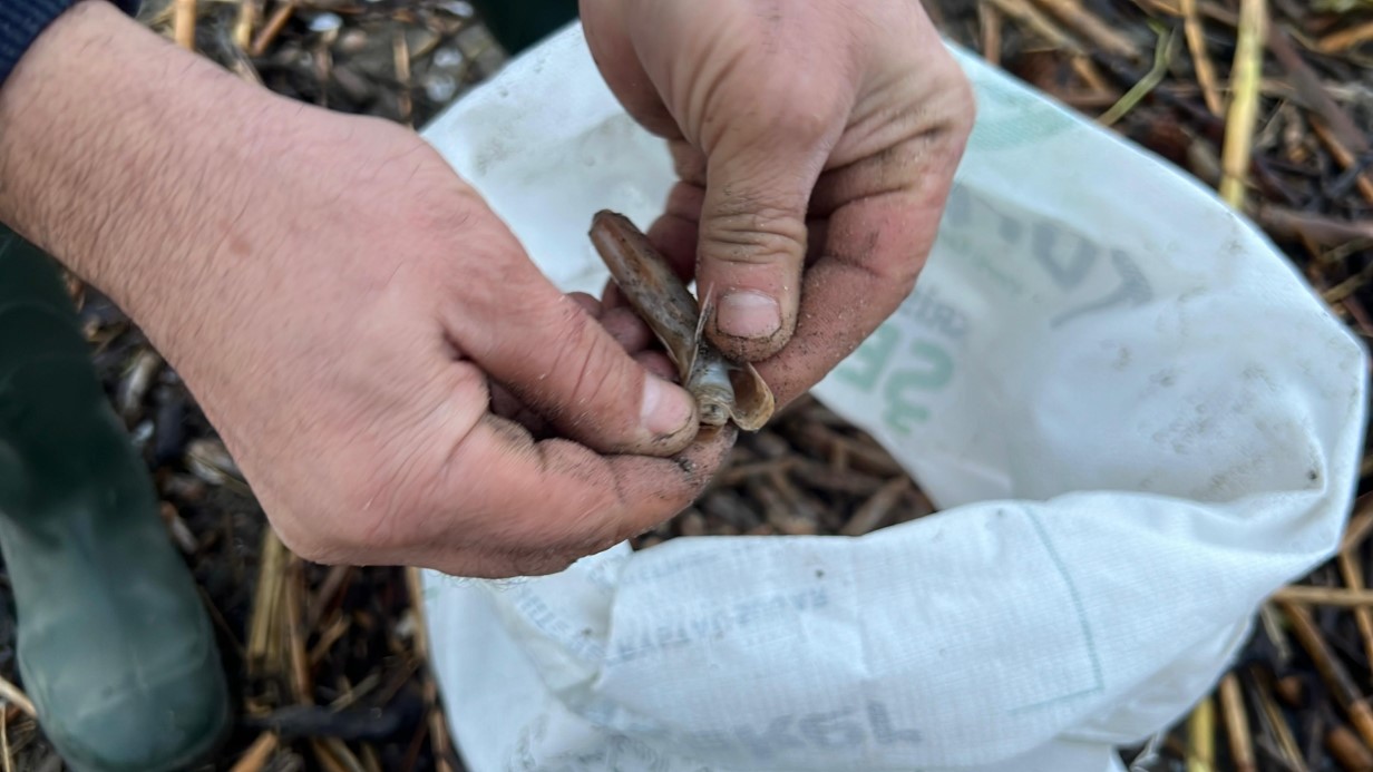 Mersinde Firtina Sahili Vurdu Balikcilar Topladi (1)