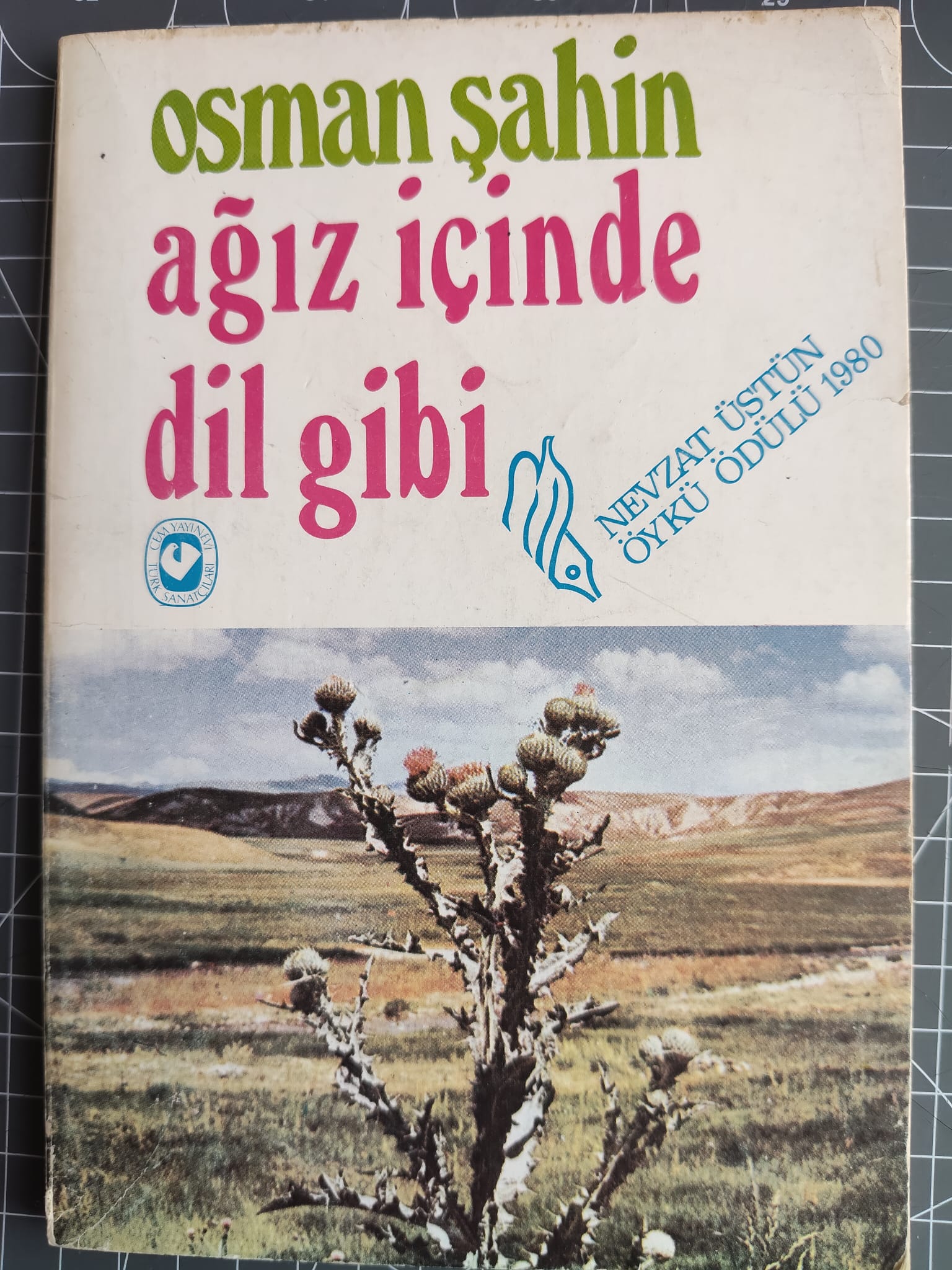 Toroslar Obruk Ve Tulum Peyniri (1)