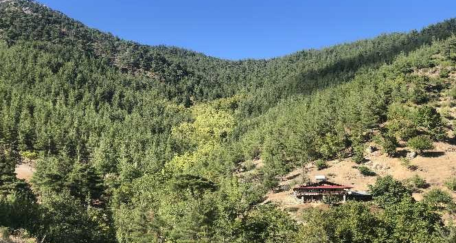 Toroslar Obruk Ve Tulum Peyniri (3)