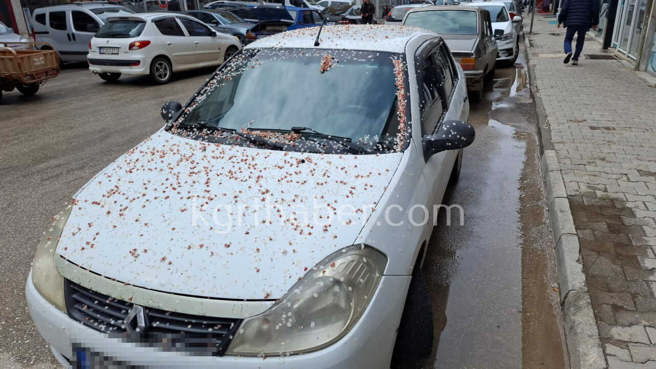 Baharin Rengi Karamani Sardi Araclar Cicek Acti1