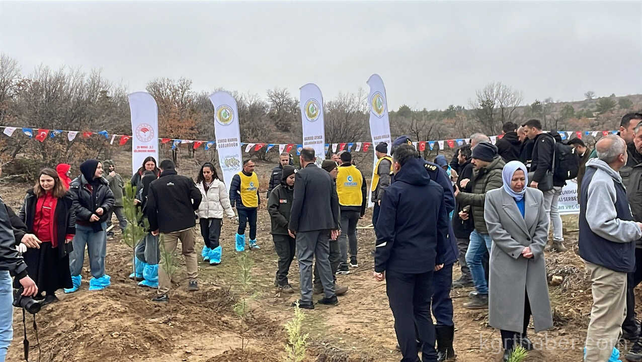 Karamanda Binlerce Fidan Toprakla Bulustu0