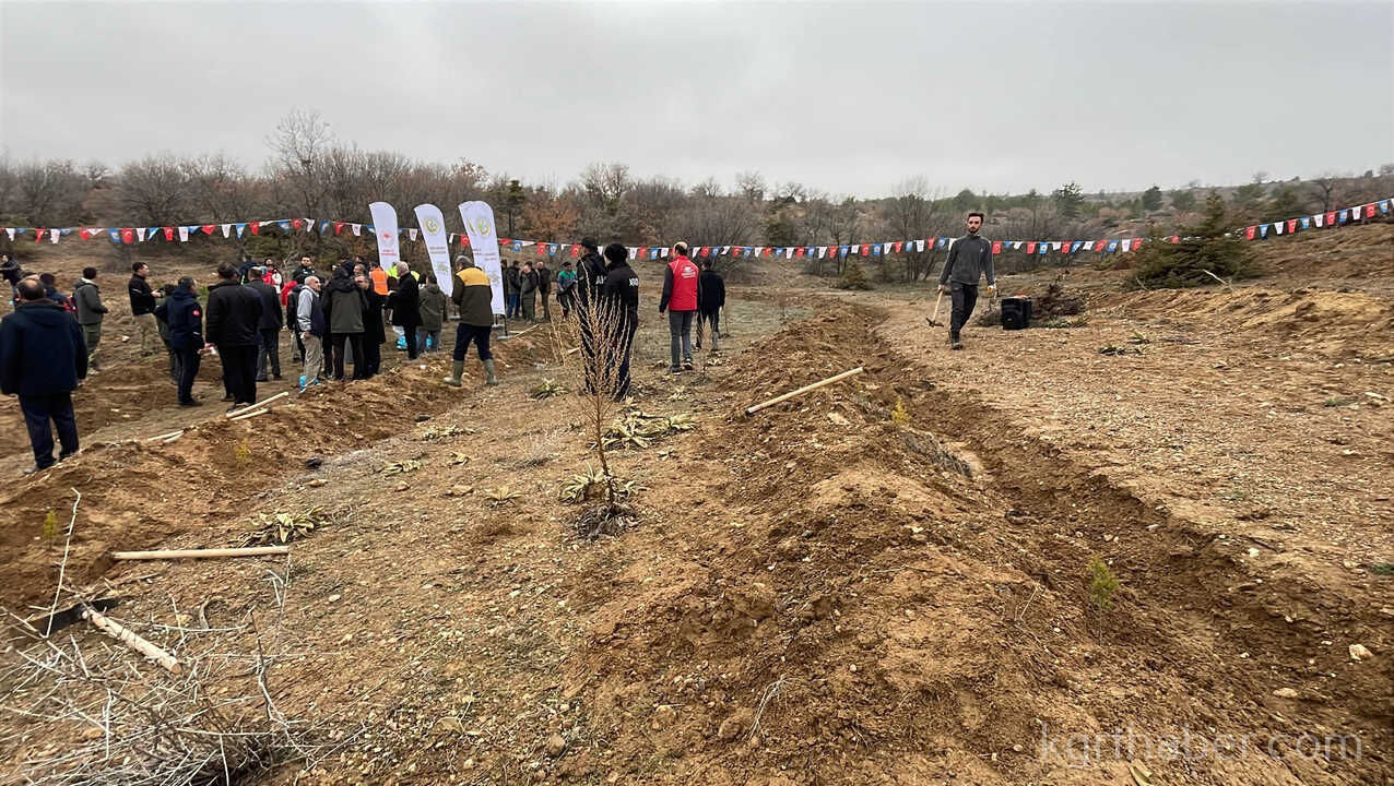 Karamanda Binlerce Fidan Toprakla Bulustu1