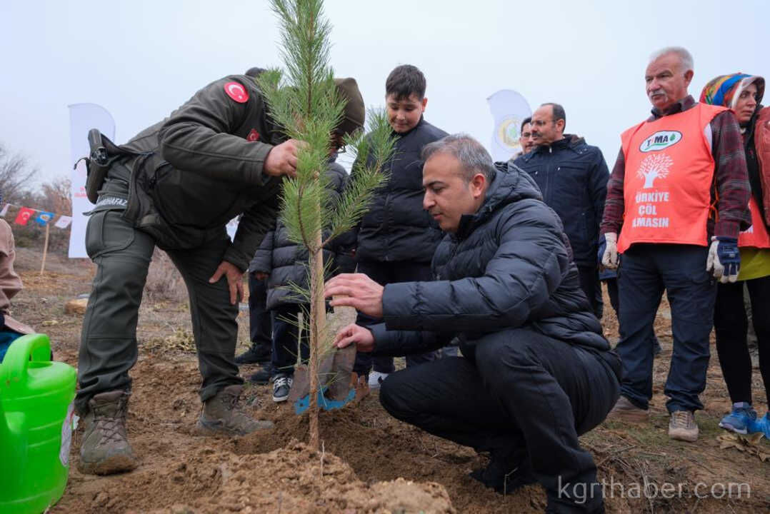 Karamanda Binlerce Fidan Toprakla Bulustu10