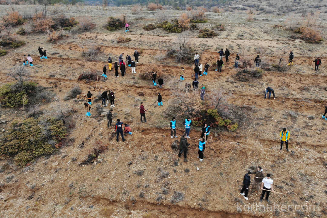 Karamanda Binlerce Fidan Toprakla Bulustu15