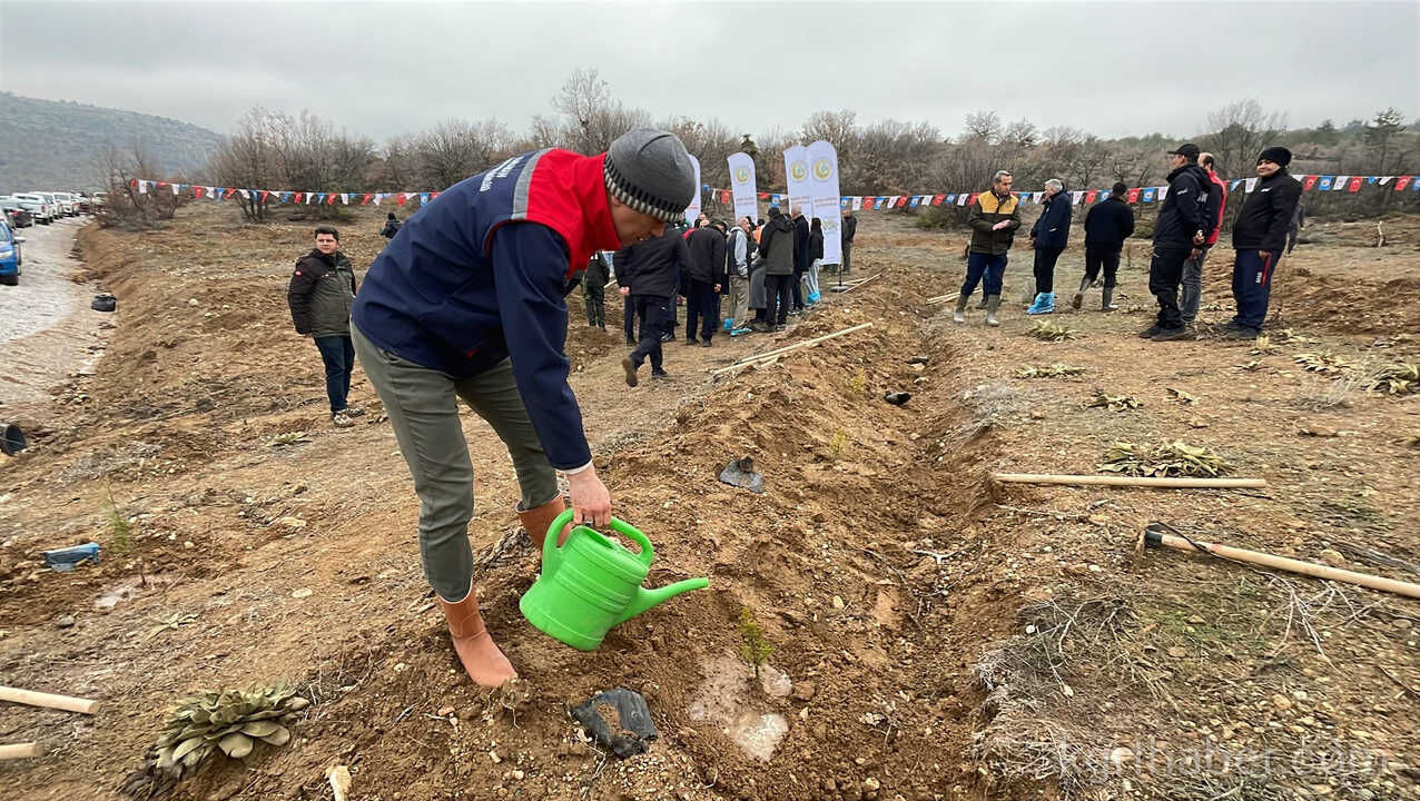 Karamanda Binlerce Fidan Toprakla Bulustu7