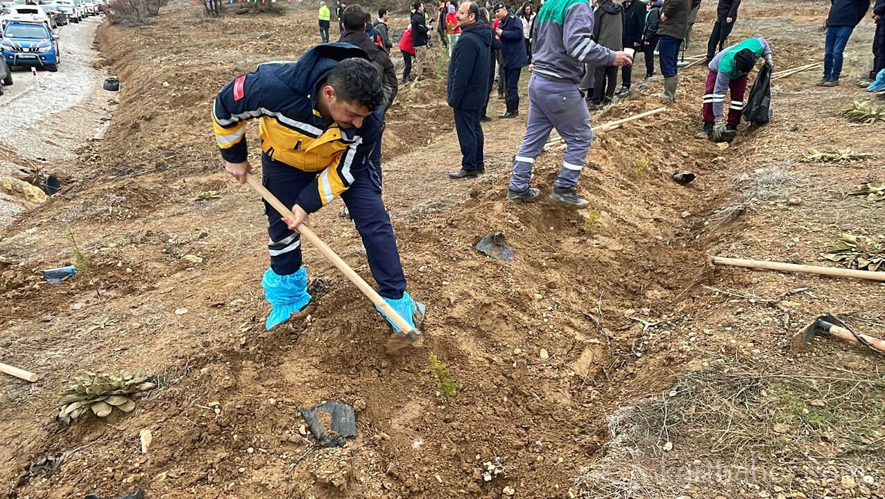Karamanda Binlerce Fidan Toprakla Bulustu8