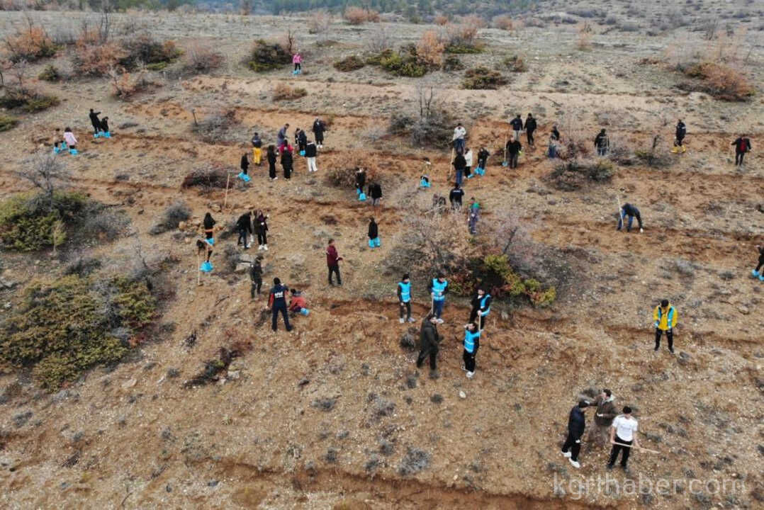 Karamanda Binlerce Fidan Toprakla Bulustu9