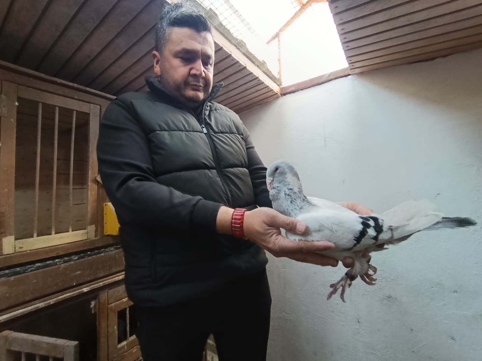 Memurlugu Birakti Guvercin Tutkusunu Meslege Donusturdu (1)