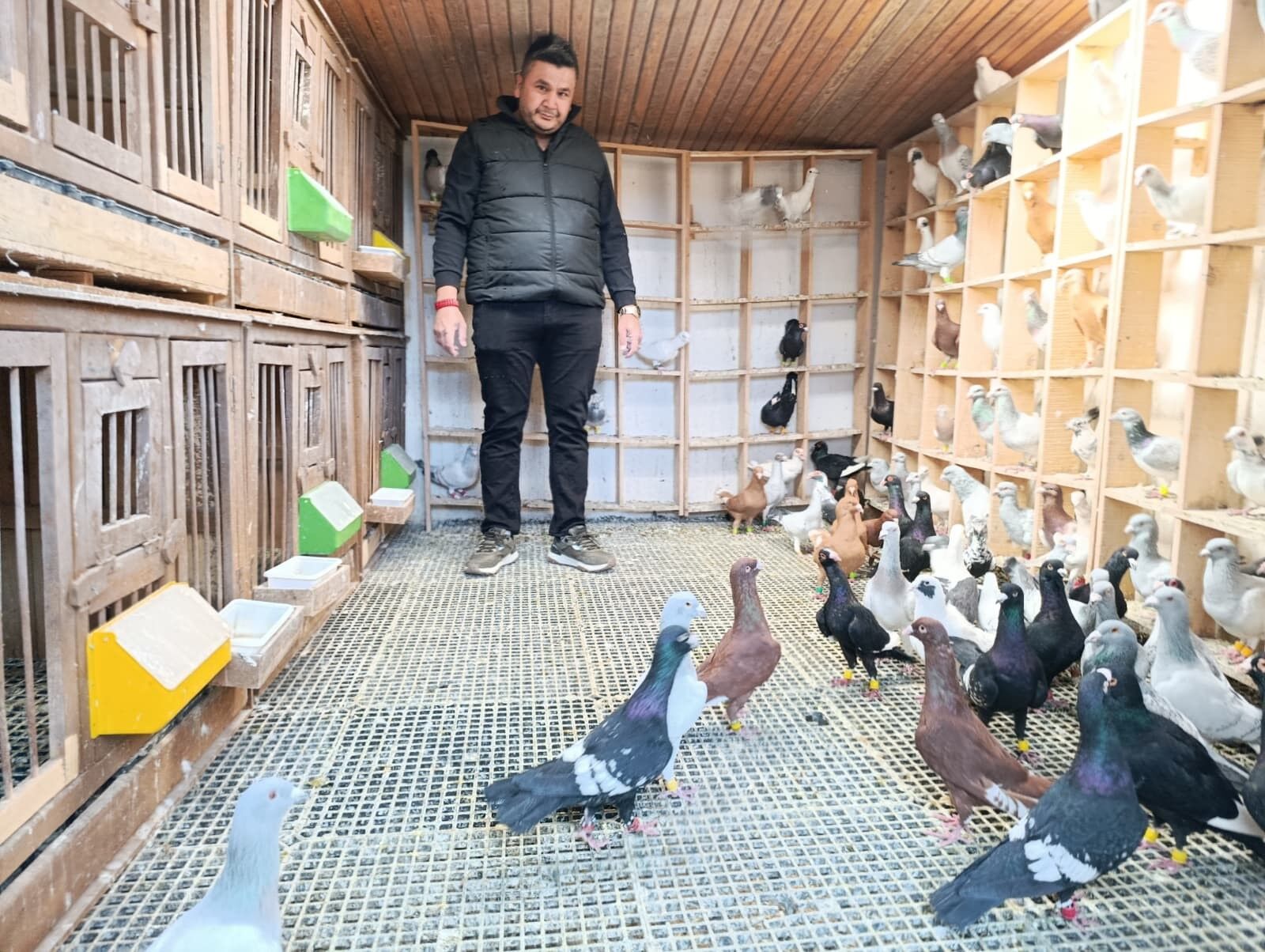 Memurlugu Birakti Guvercin Tutkusunu Meslege Donusturdu (3)