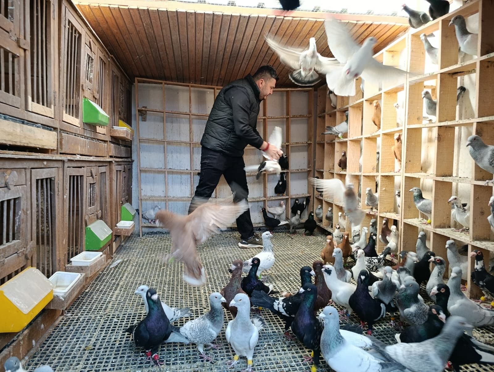 Memurlugu Birakti Guvercin Tutkusunu Meslege Donusturdu (5)