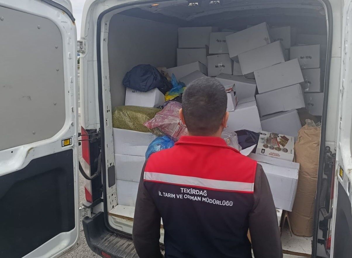 Tekirdagda 2 Ton Fistik Kanser Riskine Karsi Yok Edildi (2)