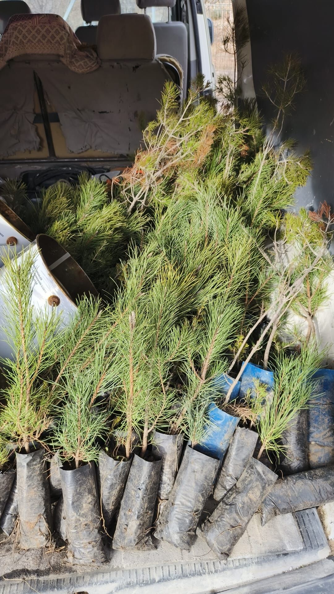 Yesil Vatan Yesil Bucakkisla Yolu Ve Yesil Avgan Yaylasi (8)