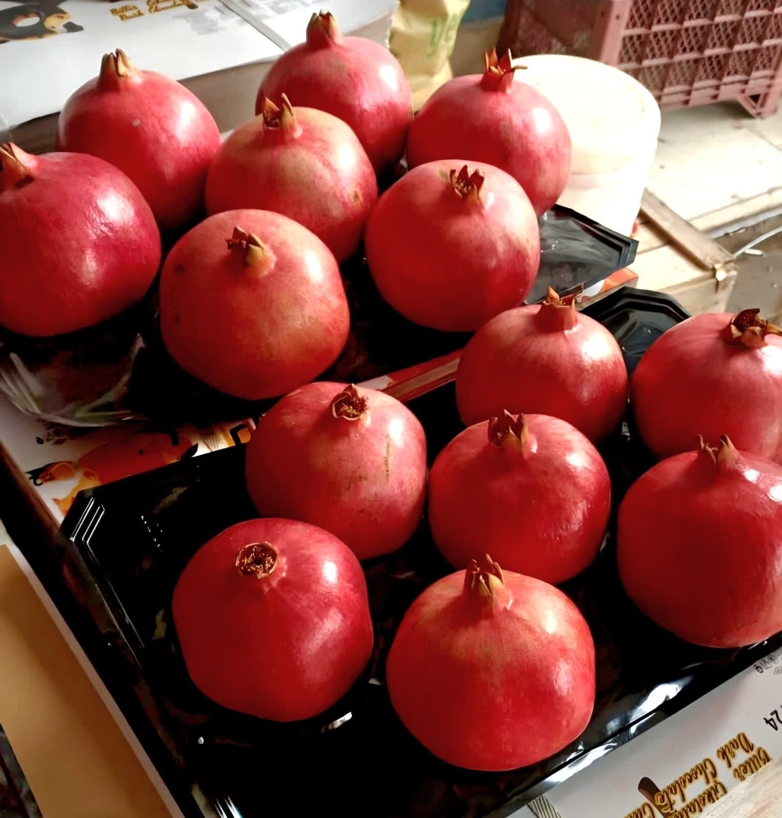 Ankarada Karaman Ruzgari Esti Baskan Ankaralidan 4 Tonluk Dev Tanitim Hamlesi (6)