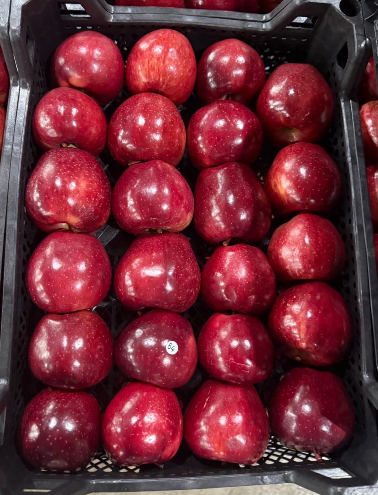 Ankarada Karaman Ruzgari Esti Baskan Ankaralidan 4 Tonluk Dev Tanitim Hamlesi (7)