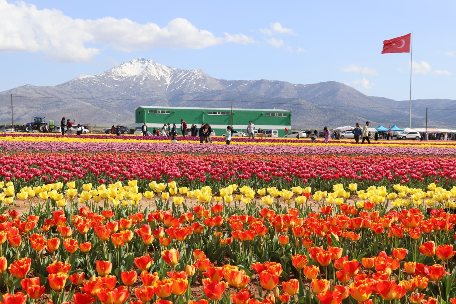 Jandarma Ekipleri Huzur Icin Sahadaydi (4)