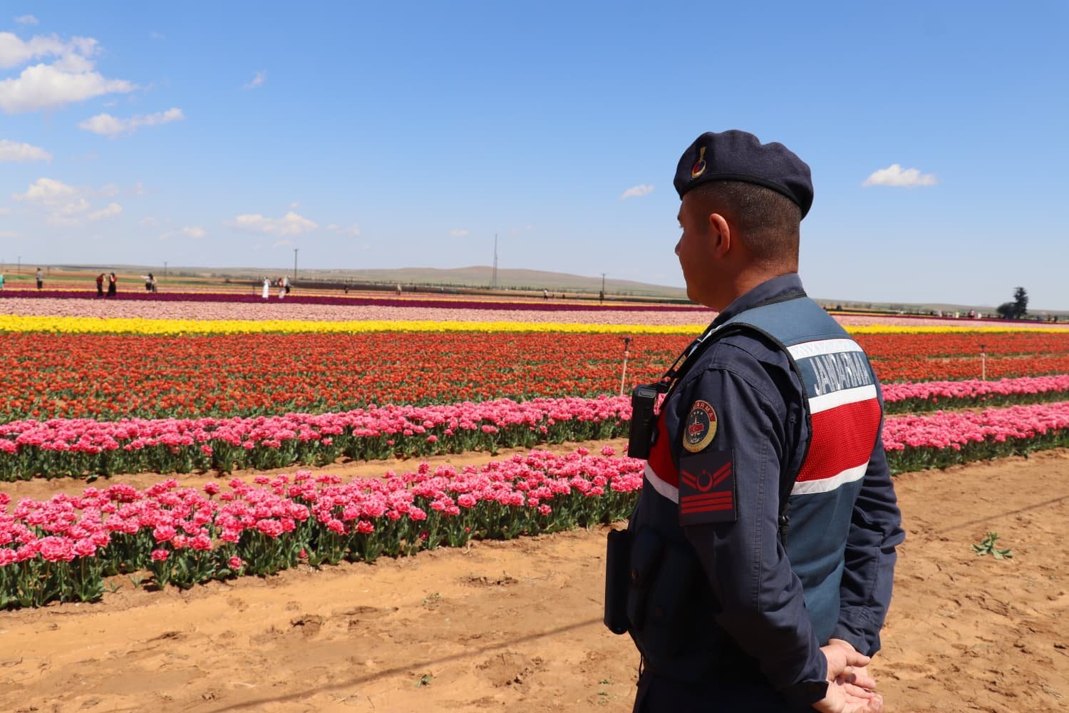 Jandarma Ekipleri Huzur Icin Sahadaydi (6)