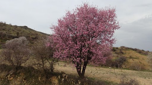 Karamanlilar Hazir Olun Sicakliklar 20 Dereceyi Zorluyor (1)